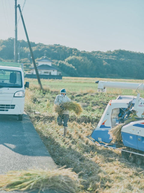 ひなたファーム（岡山県総社市産）令和7年度  自然栽培米 朝日