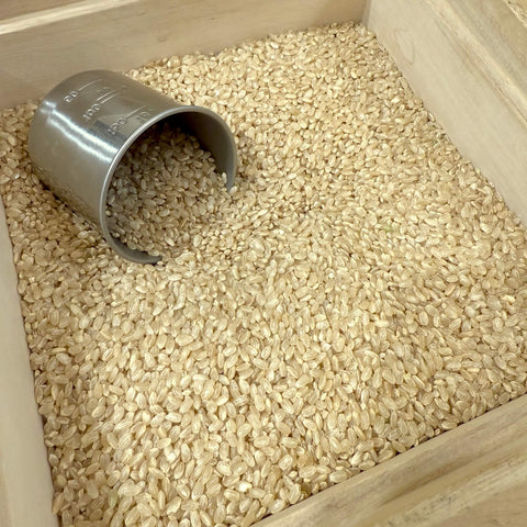 令和7年度 高知県産 コシヒカリ 新米（無農薬・化学肥料不使用）